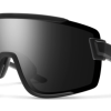 SMITH OPTICS Wildcat