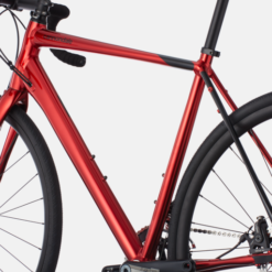 Cannondale Synapse 105 (2021) -Shimano Shop C21 C12501M Synapse 105 CRD D5 1