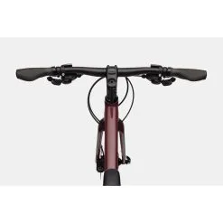 Cannondale Quick 2 -Shimano Shop C21 C31200F Quick Disc 2 BCH D1