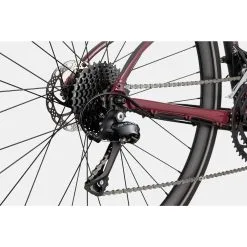 Cannondale Quick 2 -Shimano Shop C21 C31200F Quick Disc 2 BCH D3