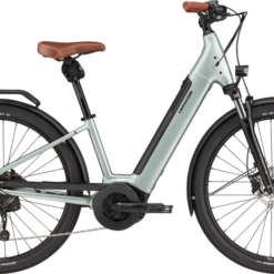 Cannondale Adventure Neo 2 EQ