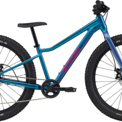 Cannondale Trail Plus 24