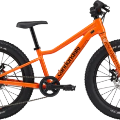 Cannondale Trail Plus 20