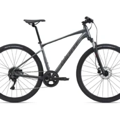 Giant Roam 2 Disc (2021)