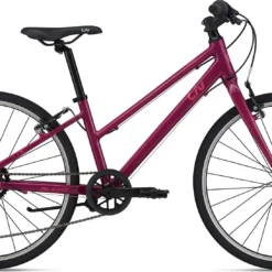 Liv Alight 24 (2021)