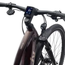 Liv Amiti-E+ 2 -Shimano Shop MY21Amiti E 2 ColorARosewood 3 GUversion