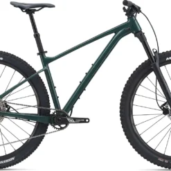 Giant Fathom 29 2 (2021)