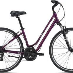 Liv Flourish FS 1 (2021)