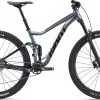 Giant Stance 29 2
