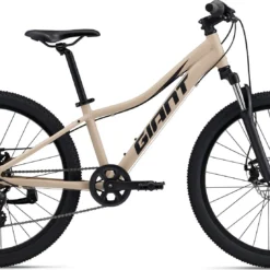 Giant XtC Jr Disc 24