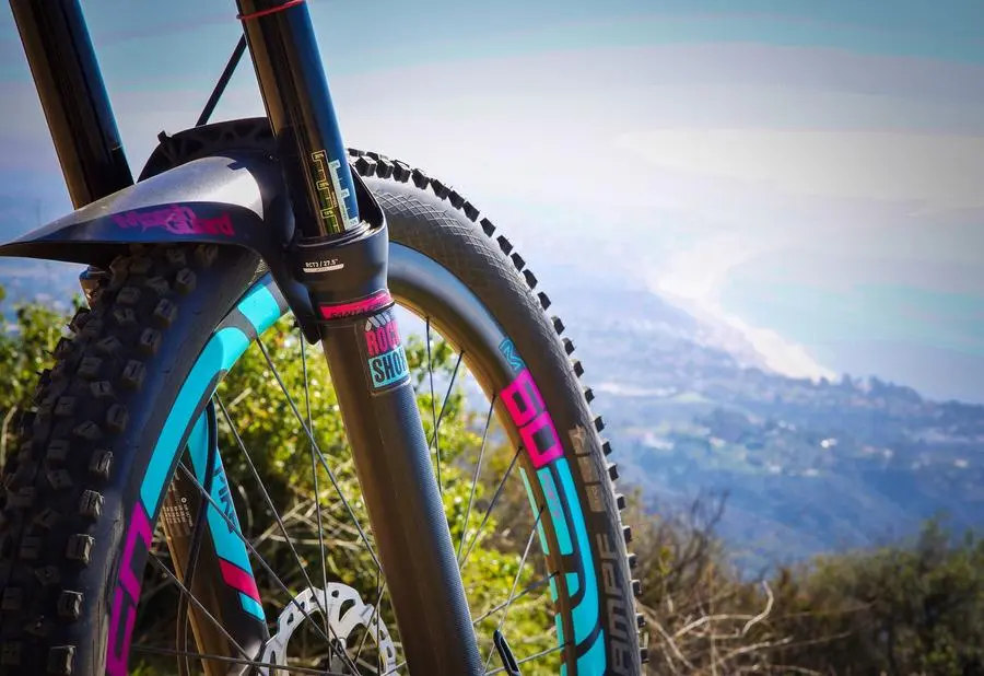 All-mountain-style Honeycomb Fork Guard 2 All-mountain-style Honeycomb Fork Guard - Image 2