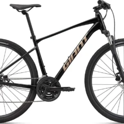 Giant Roam 4 Disc