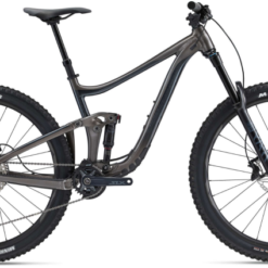 Giant Reign 29