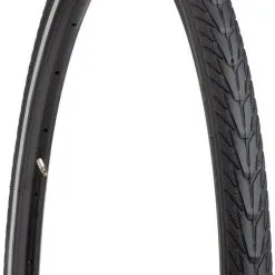 Schwalbe North America Energizer Plus Tire