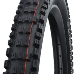 Schwalbe North America Eddy Current Evo Super Trail Addix Soft Tire
