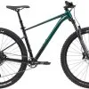 Cannondale Trail SE 2 (2021)