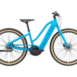 Momentum Transend E+ LDS (2021)